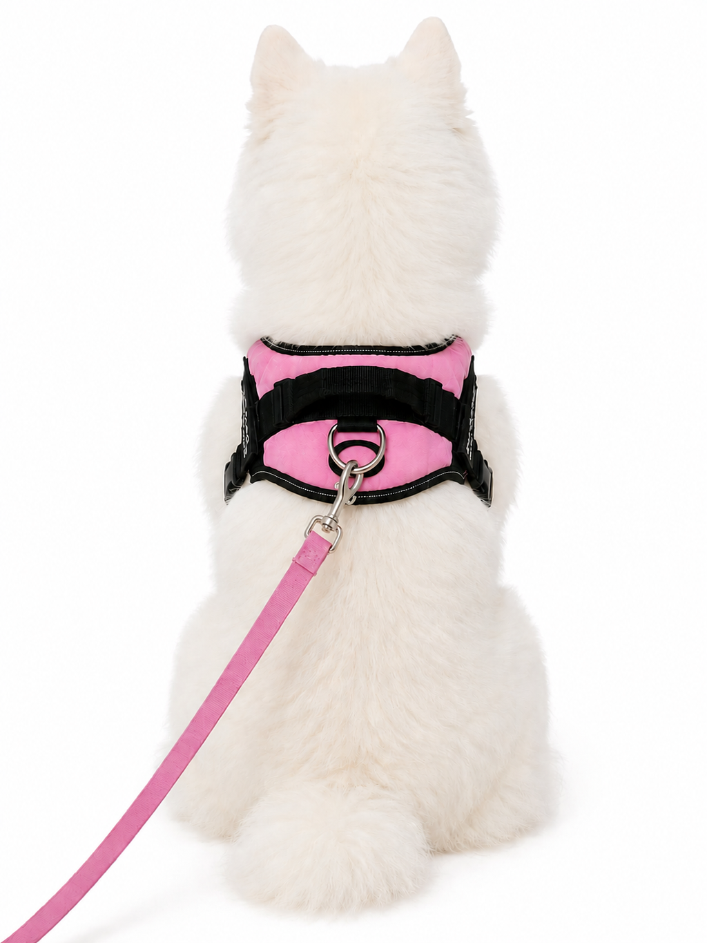 SafeFit™ Reflective Dog Harness & Leash Set