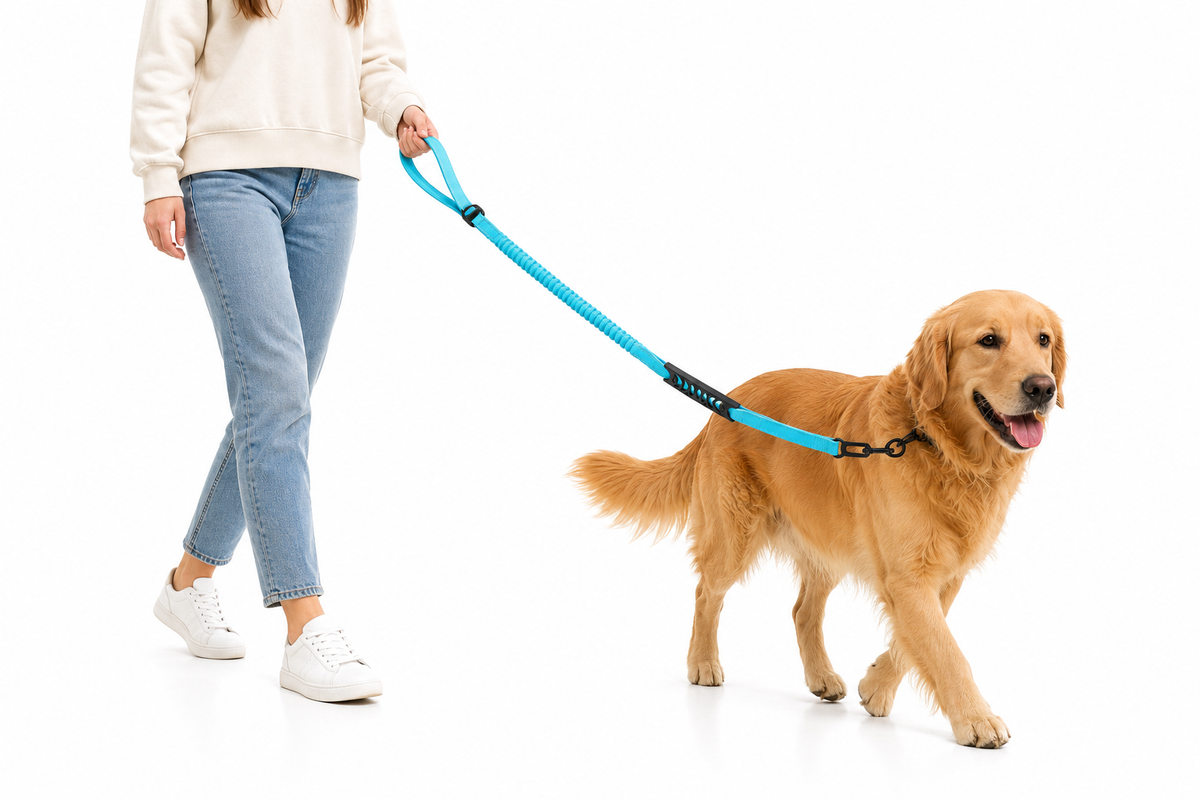 FlexGuard™ Shock-Absorbing Dog Leash