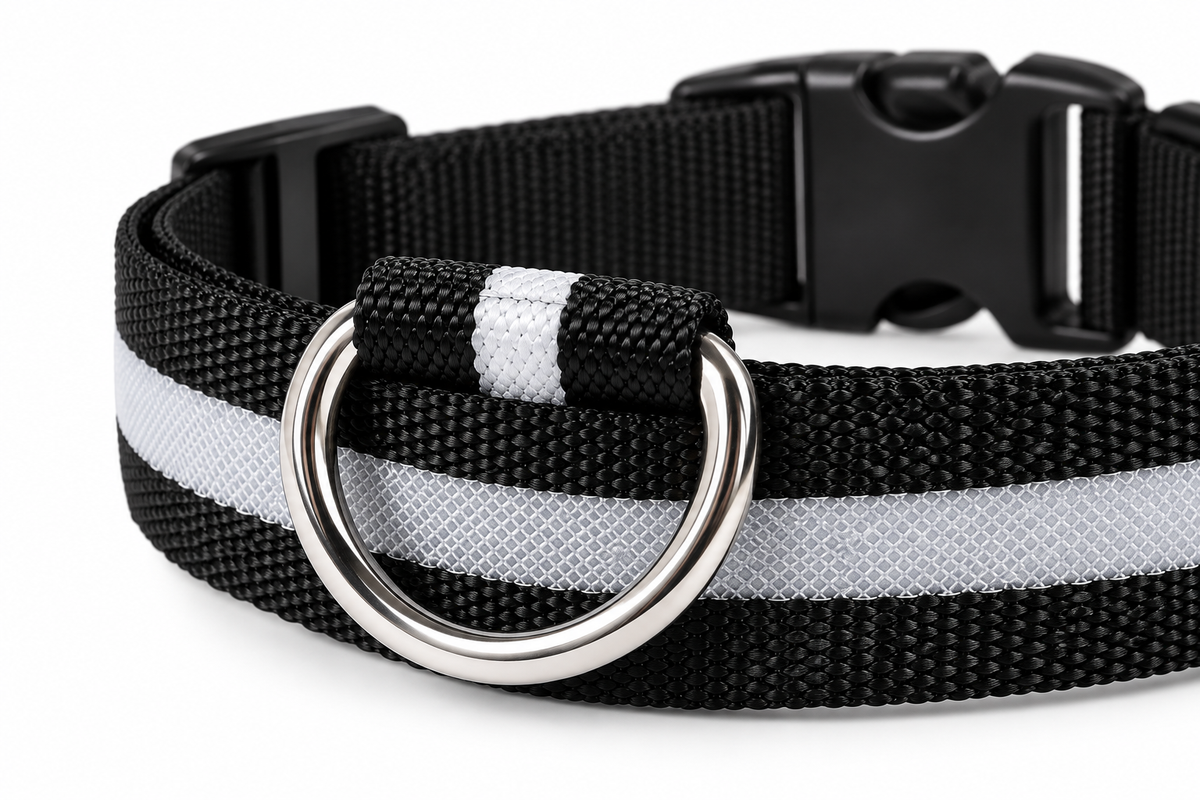 NightGuard™ LED Safety Dog Collar