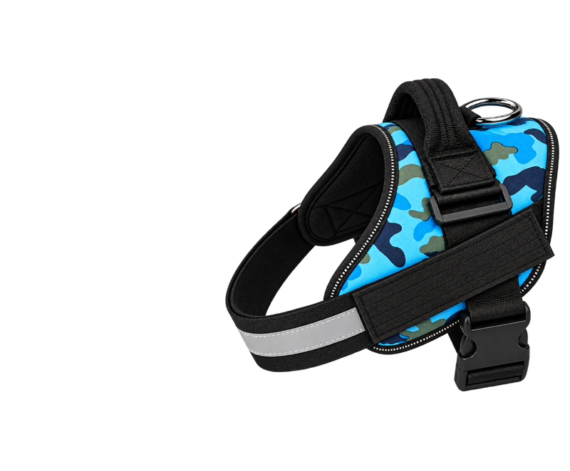 Essentials Bundle