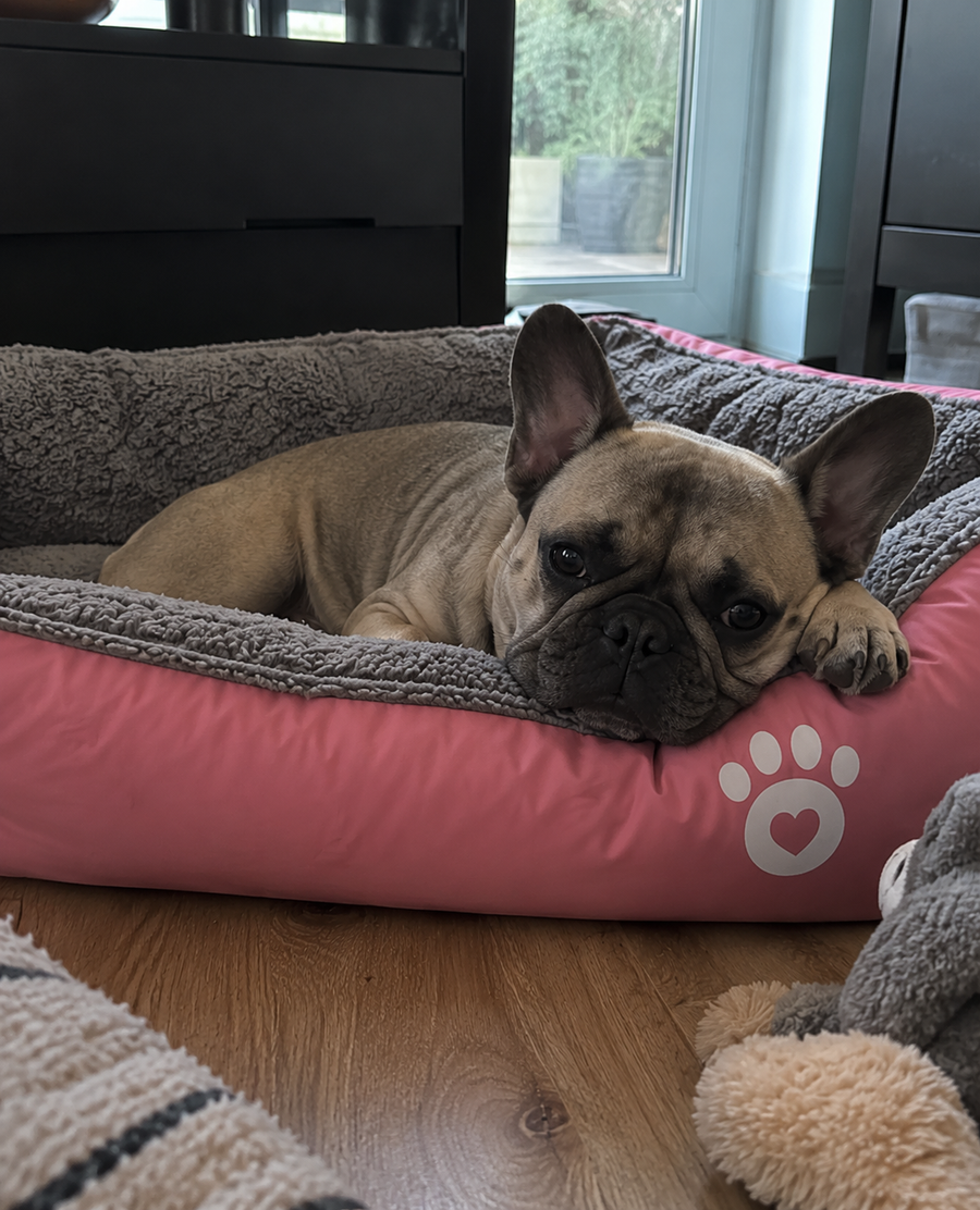 Really happy with this bed. It’s soft, spacious and my dog seems very comfortable in it. I especially like the raised edges because he loves resting his head there.