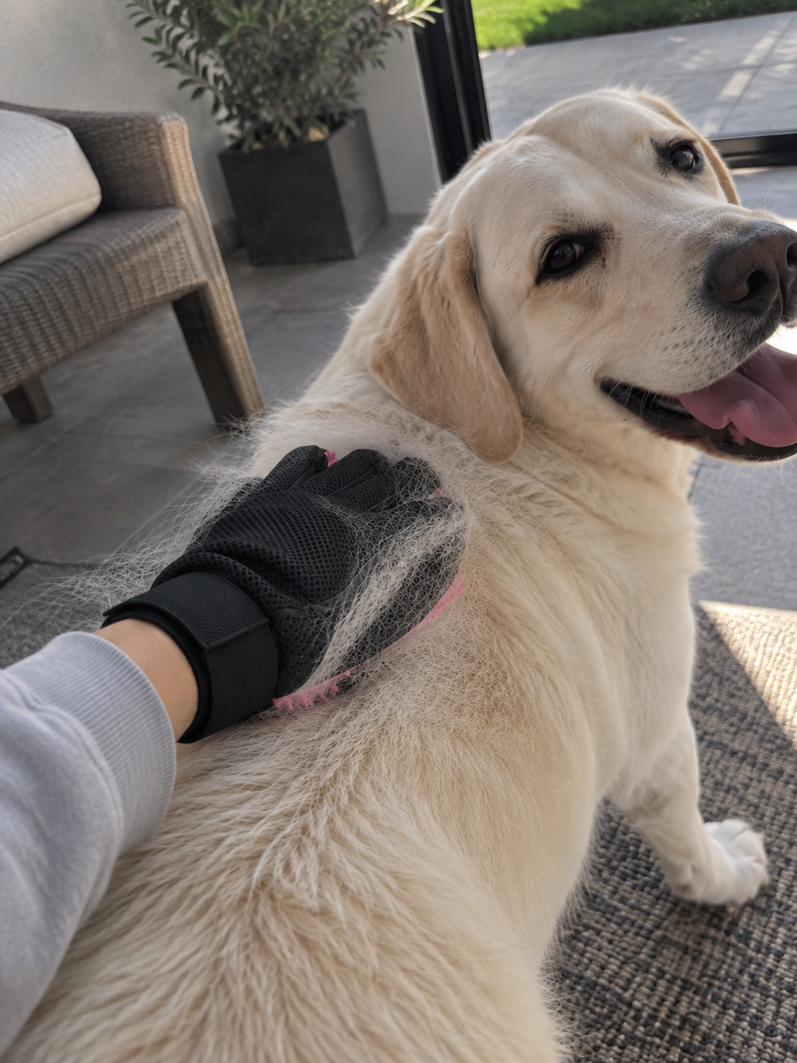 We’ve tried several different brushes, but this is definitely the easiest one for everyday use. My dog seems to love it.