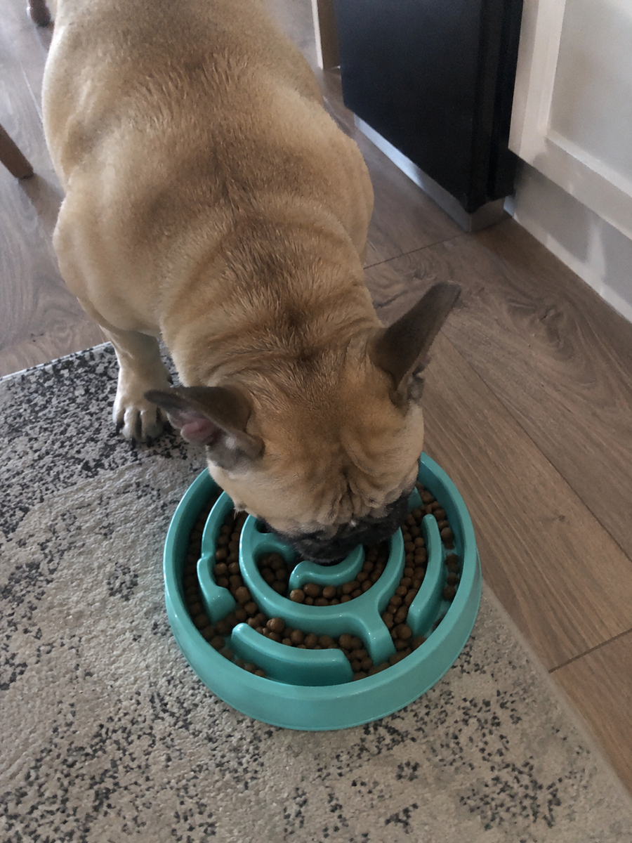 Simple but actually works. My dog took a little time to get used to it, but now he loves it.