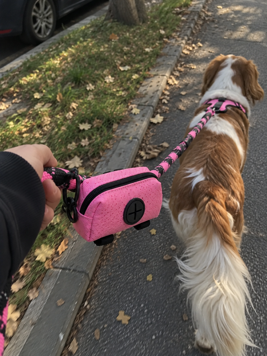 I love having everything in one place. It clips right onto the leash and makes walks much easier.