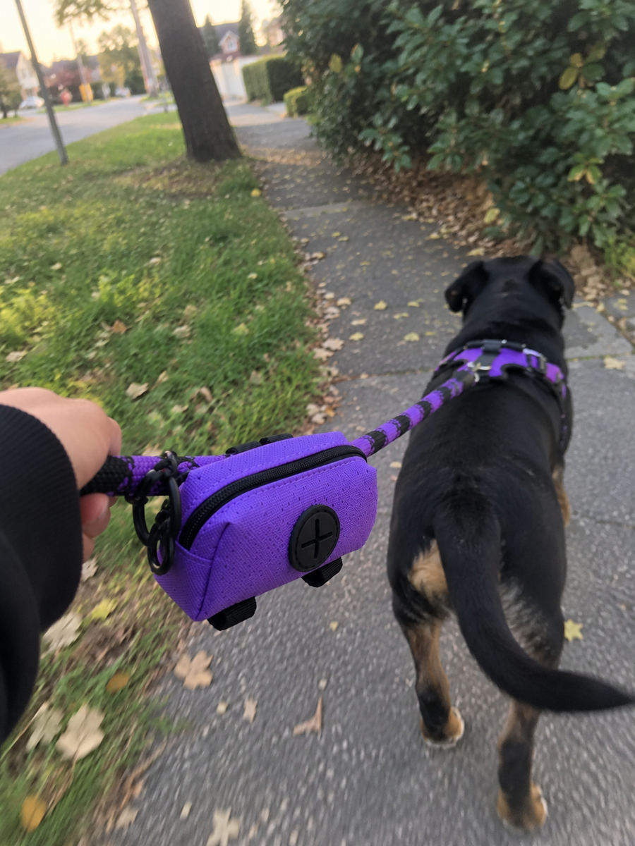 This has become part of our everyday walks. Simple, compact and actually useful.