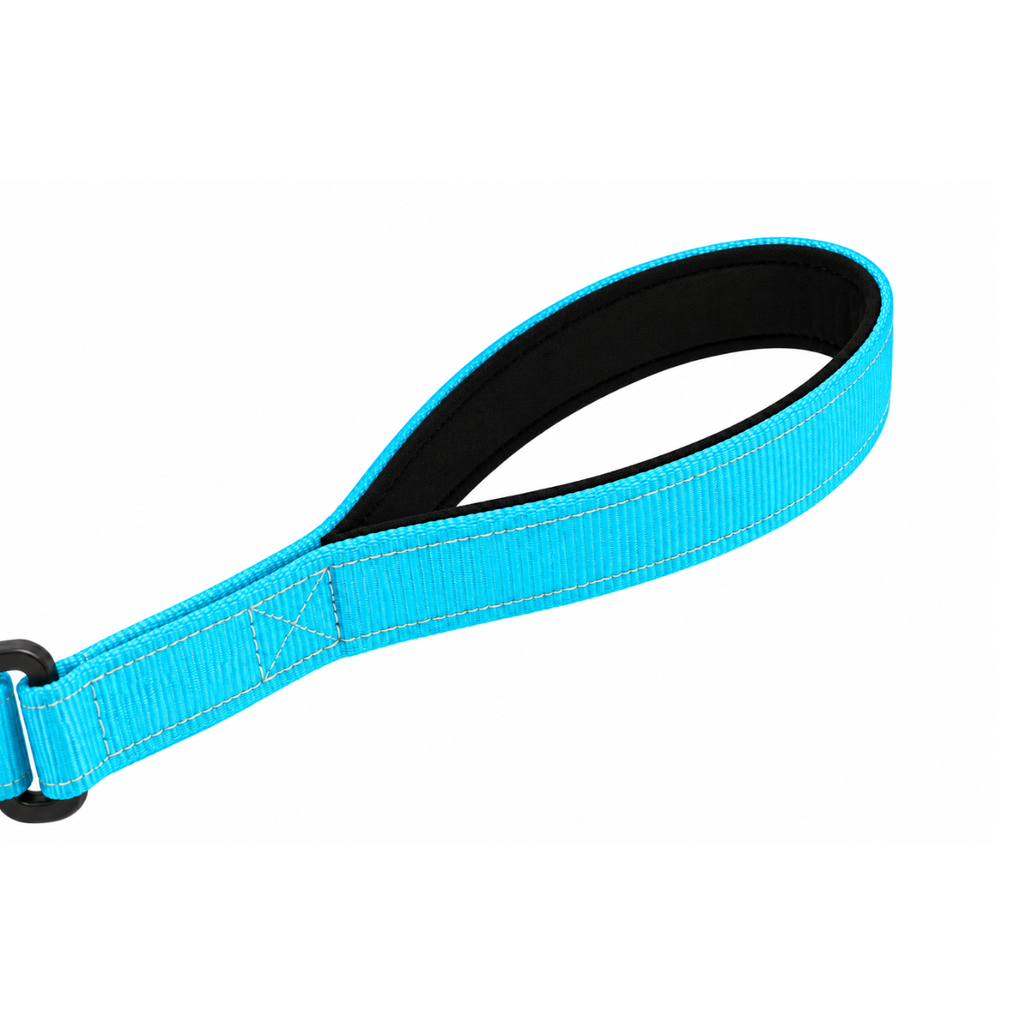 FlexGuard™ Shock-Absorbing Dog Leash