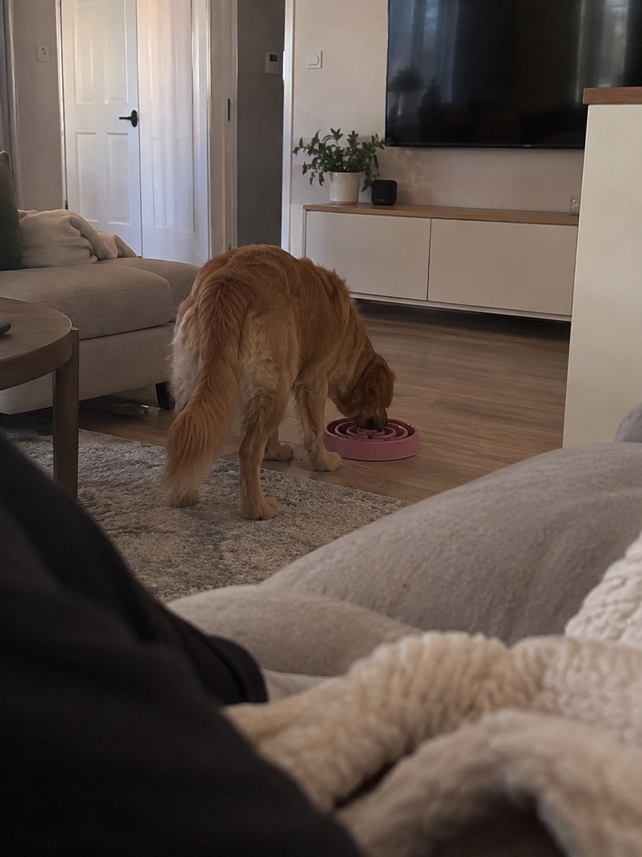 Our dog used to inhale his meals. This has made feeding time much calmer.