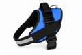 SafeFit™ Reflective Dog Harness & Leash Set