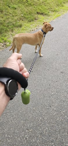 Definitely a good buy I like this leash and the price is right.