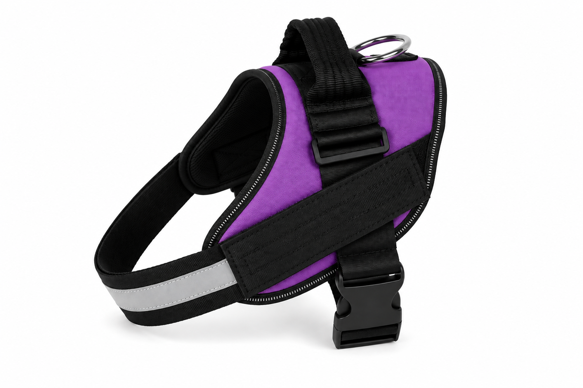 SafeFit™ Reflective Dog Harness & Leash Set