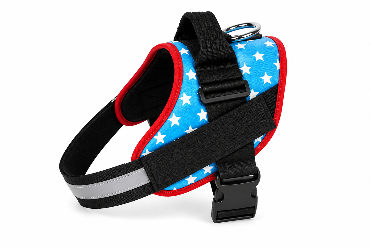 SafeFit™ Reflective Dog Harness & Leash Set
